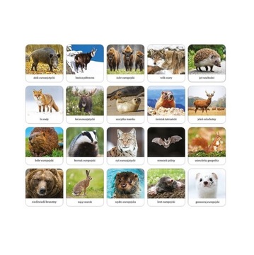 Млекопитающие польской памяти