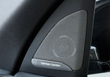 BMW X5 G05 2021 BMW X5 Pierwszy wlasciciel Gwarancja Bezwypadkowy FVAT23 3.0, zdjęcie 27