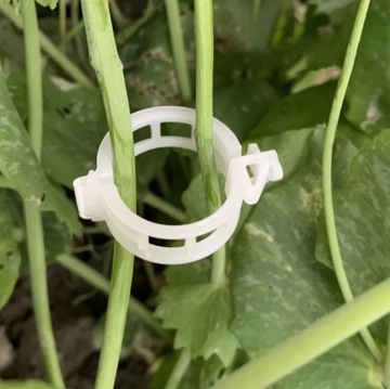 50 шт. прозрачные зажимы для растений.