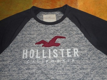 HOLLISER CALIFORNIA S T-SHIRT RETRO VINTAGE SUPER STAN MEGA UNIKAT ORYGINAŁ