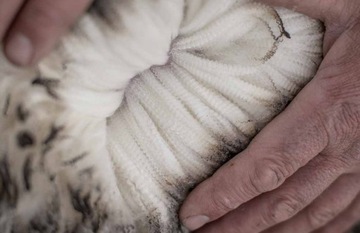 Носки из мериносовой шерсти MERINO MERYNOS, 3 ПАКЕТА