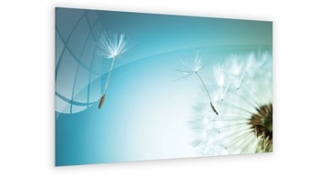 Магнитная стеклянная доска Одуванчик 60х40см