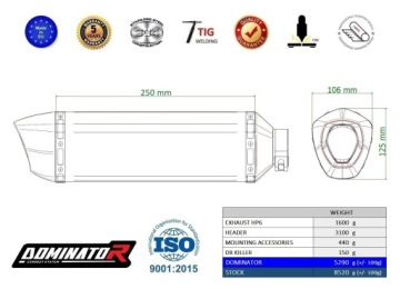 675 SR-R 2024 - 2025 Полная система Выхлопной коллектор HP6 BLACK DOMINATOR