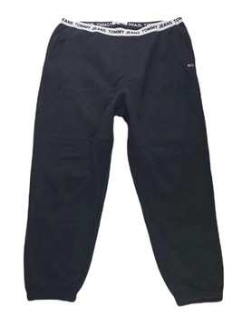 Tommy Jeans damskie spodnie dresowe Curve Cry Logo DW0DW14588-BDS rozm. 3XL