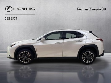 Lexus UX Crossover Facelifting 2.0 300h 199KM 2024 Lexus UX 300h Business Lexus UX 300h Business+Tech, zdjęcie 4