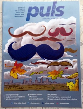MAGAZYN PULS nr 11 listopad 2020 (307)