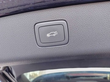 MG HS 2023 MG HS Skory Panorama Bogata wersja 1.5 Benzyna 162KM, zdjęcie 26