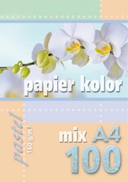 Papier ksero A4 mix pastel 160g