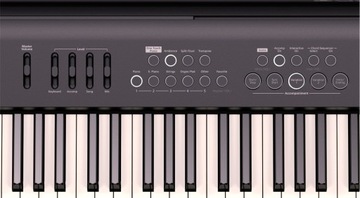 ROLAND FP-E50 Пианино с аранжировщиком + подставка + педаль