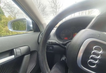 Audi A3 8P Hatchback 3d 2.0 TDI PD 140KM 2004 Audi A3 Sportback Audi A3 Sportback 2.0 TDI Ambition 2.0 Diesel 140KM, zdjęcie 13