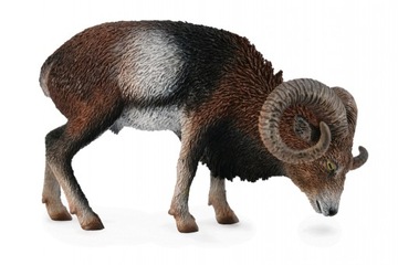 COLLECTA FIGURKA Muflon europejski 88682