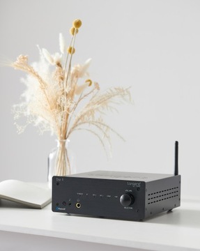 Цифро-аналоговый преобразователь Tangent DAC II Hi-Fi USB Bluetooth XLR