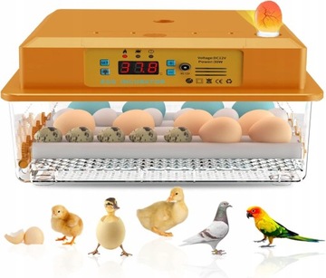AUTOMATYCZNY INKUBATOR DO 36 JAJ 220V/12V