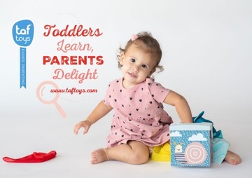 Коробка для салфеток Taf Toys Kimmy Koala Wonder