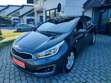 Kia Ceed II Hatchback 5d Facelifting 1.4 DOHC 100KM 2015 Kia Cee&#039;d Bezwypadkowy, kompletna dokumentacja, zdjęcie 2
