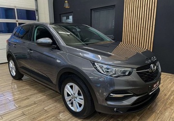 Opel 2019 Opel Grandland X 130 KM manual BEZWYPADKOWY gwarancja ZAREJESTROWANY, zdjęcie 4