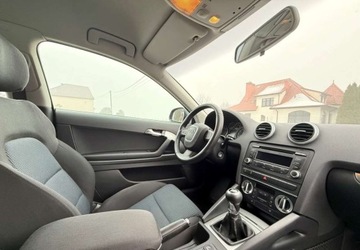 Audi A3 8P Hatchback 3d 1.6 TDI 105KM 2010 Audi A3 3-drzwiowe Audi A3 3-drzwiowe 1.6 TDI DPF Ambition 1.6 Diesel 105KM, zdjęcie 22