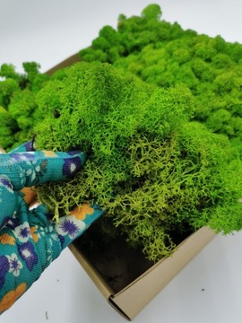 Мох крабовый Альпийский Премиум 50г нетто