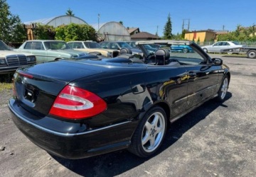 Mercedes CLK W209 Cabrio A209 5.0 V8 (500) 306KM 2003 Mercedes-Benz CLK Mercedes-Benz CLK 500 Avantgarde 5.0 Benzyna 306KM, zdjęcie 4