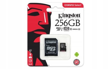 Карта памяти MicroSD Canvas Select Plus емкостью 256 ГБ