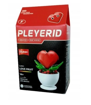 НАБОР РАЗНОЦВЕТНЫХ ЦВЕТОВ В ГОРШКАХ SLUBAN BLOKS B1073 A-F