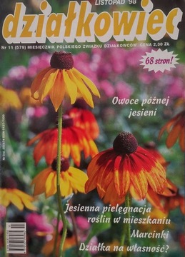 Działkowiec 11 1998