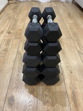 Hantle HEX TechnoGym zestaw 57kg