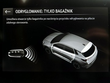Opel 2022 Opel Grandland AUTOMAT+LED 1WŁ KRAJ. BEZWYP. F23%, zdjęcie 35