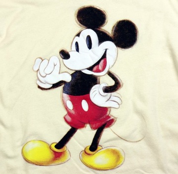 Bluza młodzieżowa bez kaptura Disney 100 Myszka Mickey Kubuś Puchatek r. M