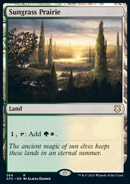 Karta Magic: The Gathering Sungrass Prairie WIZARDS OF THE COAST