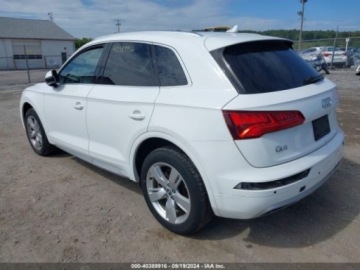 Audi Q5 II 2019 Audi Q5 2019 Audi Q5 Premium Plus 45 TFSI quattro 2.0 Benzyna 248KM, zdjęcie 2