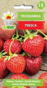 TRUKSKAWKA TRESCA NASIONA DO UPRAWY GRUNTOWEJ I W DONICACH 20 SZTUK NASION
