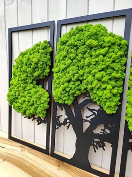 Триптих ДЕРЕВО 75см мох мох УКРАШЕНИЕ С МХОМ семейства мхов