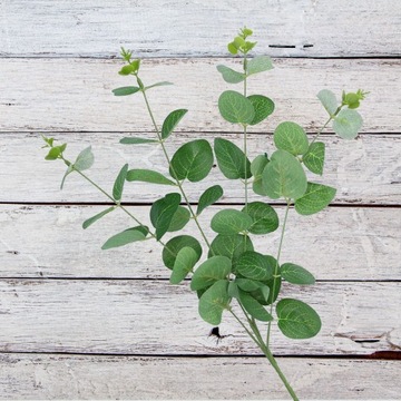 SZTUCZNE KWIATY eukaliptus 60cm na balkonie naturalne imitacje do wazonu