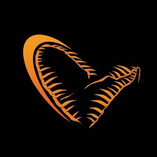 ФУТБОЛКА Savage Gear CANNIBAL XL, черная