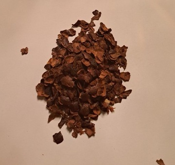 Cascara Suszone Skórki Owoców Kawowca 1 Kg Rafex