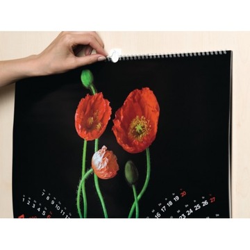 TESA POWERSTRIPS Samoprzylepne haczyki do obrazów ramek zdjęć białe 1kg