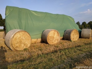 Плитник соломенный 10,4х12,5 почвопокровный для свекольного сена