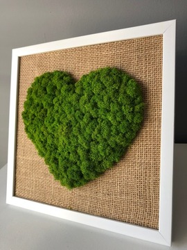 Картина сердце из мха Хроботка ПОДАРОК ​​УКРАШЕНИЕ ДОМА