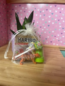 ПОДАРОК ​​В ДЕТСКИЙ САД ПОДАРОК ​​НА ДЕНЬ РОЖДЕНИЯ ПОДАРОК ​​БЕСПЛАТНЫЕ ПАКЕТКИ ЖЕЛЕ