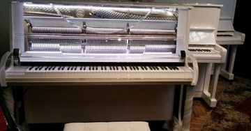 ПИАНО играет само себя, PIANODISC Yamaha DISKLAVIER iPad PIANOROLF