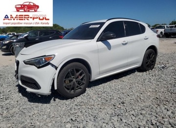 Alfa Romeo Stelvio 2020 Alfa Romeo Stelvio 2020 2.0l 2.0 Benzyna 280KM