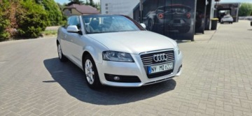 Audi A3 8P Cabriolet 1.8 TFSI 160KM 2008 Audi A3 Cabrio 1.8 TFSI 160KM Alu Klima Import Raty Oplaty ASO 1.8, zdjęcie 19