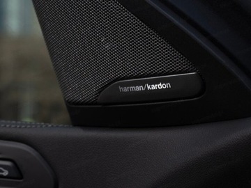 BMW X6 G06 SUV Facelifting 3.0 40d 352KM 2025 BMW X6 xDrive40d Sport Suv 3.0 (352KM) 2025, zdjęcie 11