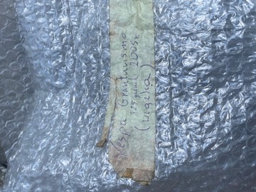 Карбюратор Vespa GTS 125-200, электропроводка