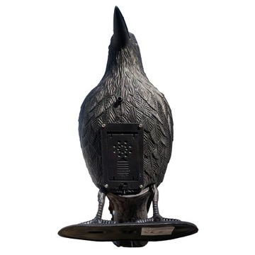 Звук ворона птица отпугивает голубей скворцов дятлов ласточек птиц