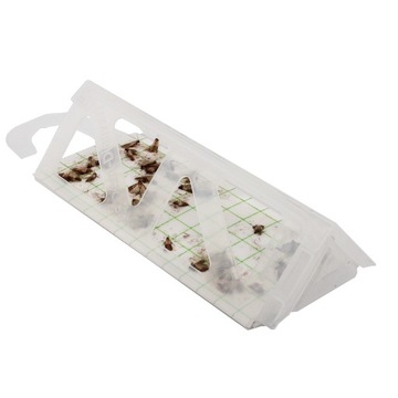 LEP MOLE FOOD MLICKS 10 шт + ЛОВУШКА