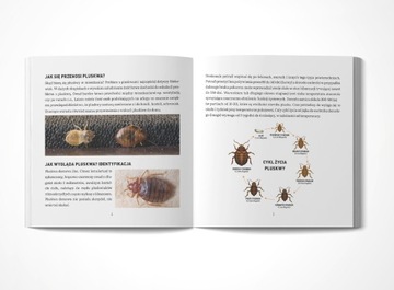 СИЛЬНЕЙШИЙ РАСПЫЛИТЕЛЬ СИЛЬНЫЙ АГЕНТ ЖИДКИЙ ПРЕПАРАТ ОТ ПАУКОВ ПАУКОобразных С ЭФФЕКТОМ