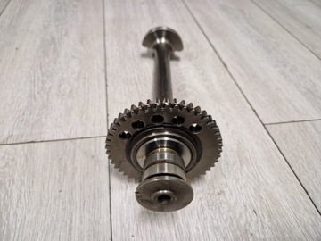 TRIUMPH SPEED TRIPLE 1050 WALEK BALANSER BALANSUJACY ST TIGER BALANS