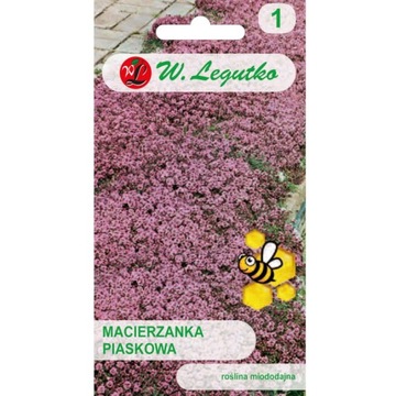 MACIERZANKA PIASKOWA LILARÓŻOWA nasiona